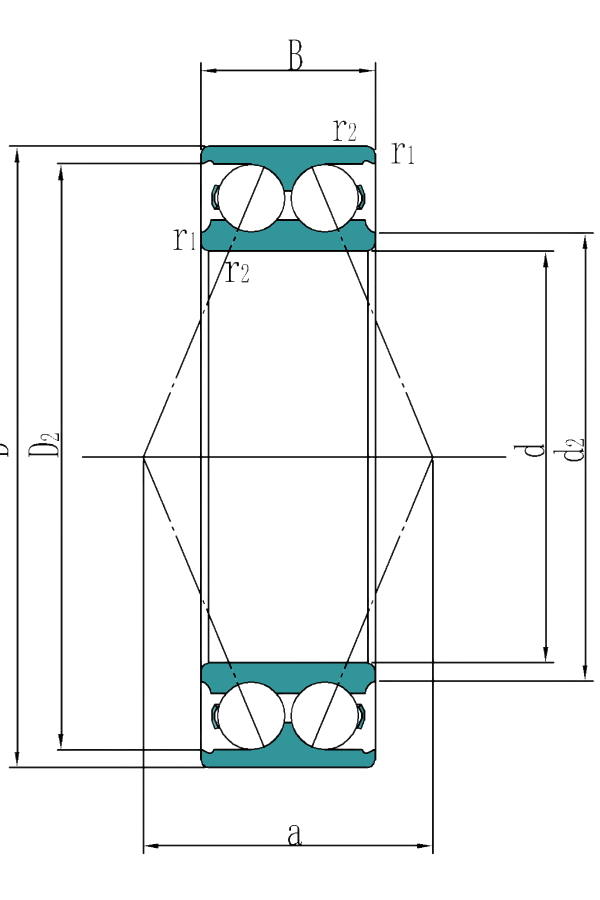 Double Row Angular Contact Ball Bearing