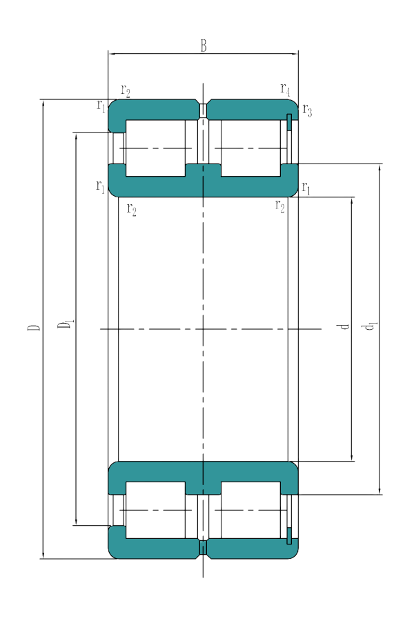 Double row cylindrical roller bearings