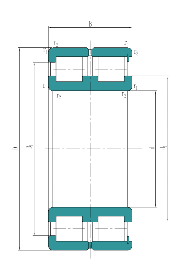  Double row full complement cylindrical roller bearings