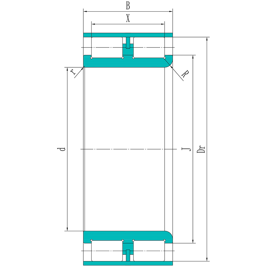 Double row full complement cylindrical roller bearings without outer ring