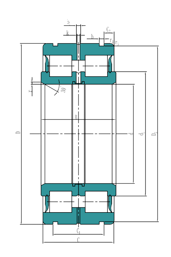 Sealed double row full complement cylindrical roller bearings