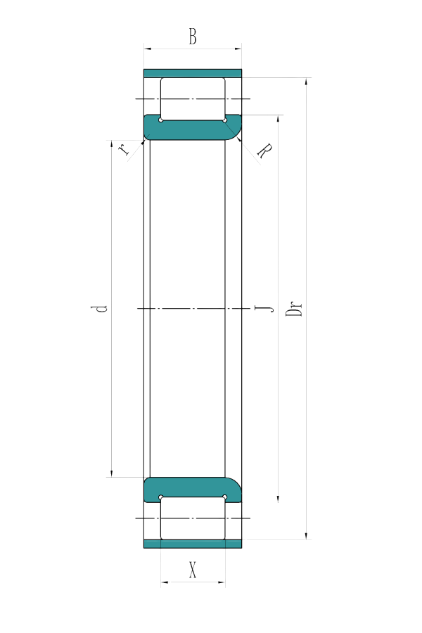 Single row full complement cylindrical roller bearings without outer ring